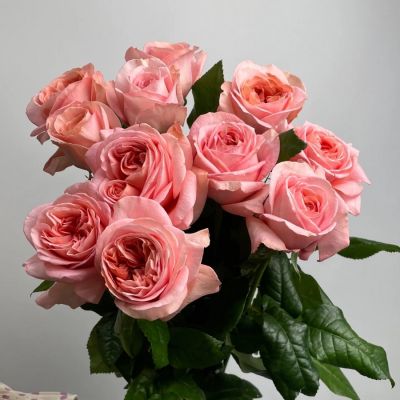 Роза Лондон Ай Роза Лондон Ай - Dolina-Sad.Ru