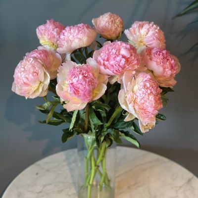 Пион Распберри Сандей Пион Распберри Сандей - Dolina-Sad.Ru