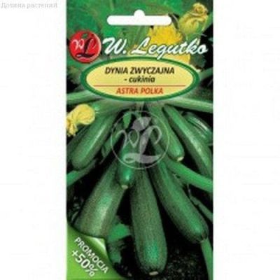 Цукини Астра Полька Цукини Астра Полька фото