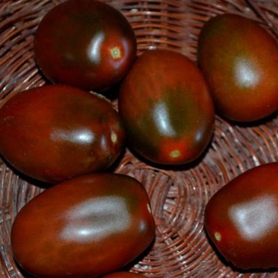 Томат Монисто шоколадное автор. Томат Монисто шоколадное автор. - Dolina-Sad.Ru